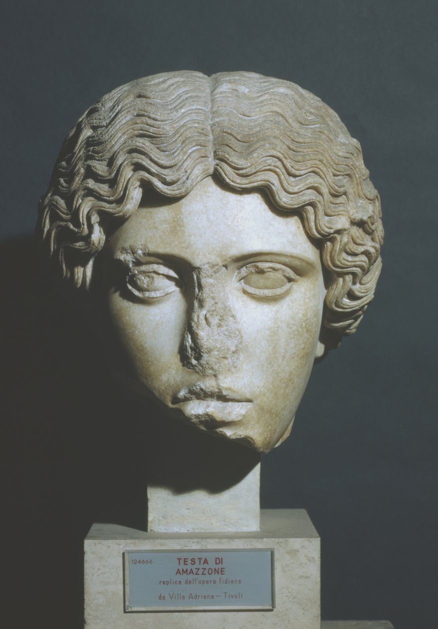 Kopf einer Amazone von Phidias Phidias