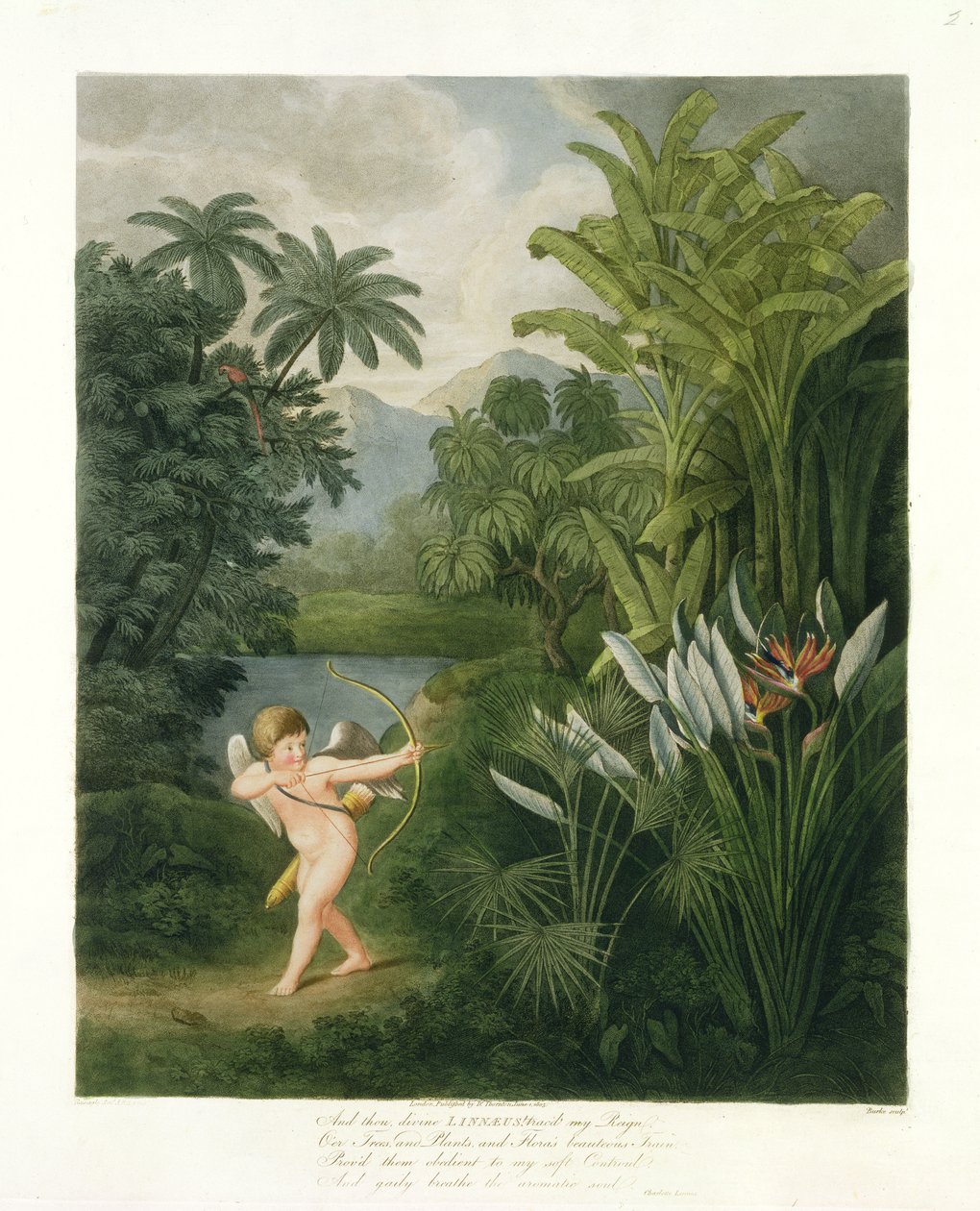 Landschaft mit Amor, der einen Pfeil auf einen Papagei oder Königinnenblume zielt, aus 