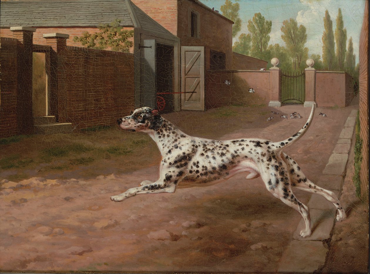 Ein Dalmatiner läuft im Hof eines Stalls von Philip Reinagle