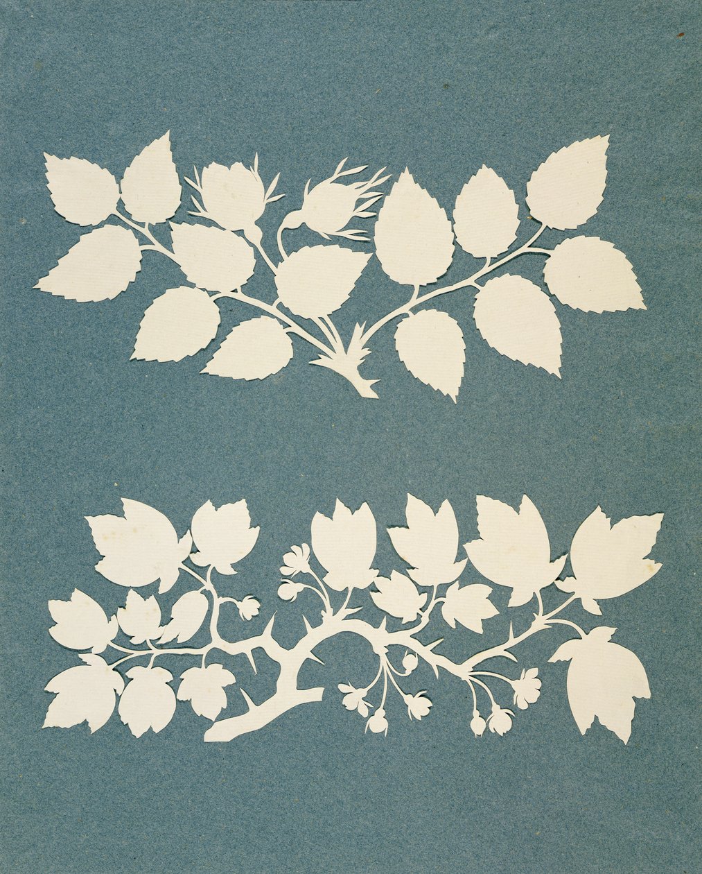 Ein Rosen- und Jasminzweig von Philipp Otto Runge