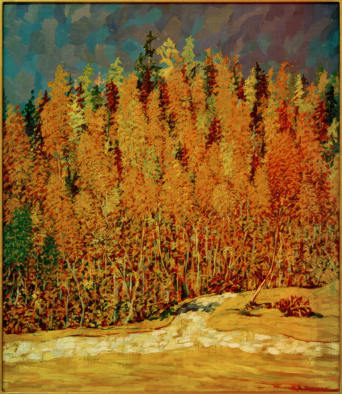 Herbstwald von Philipp Bauknecht
