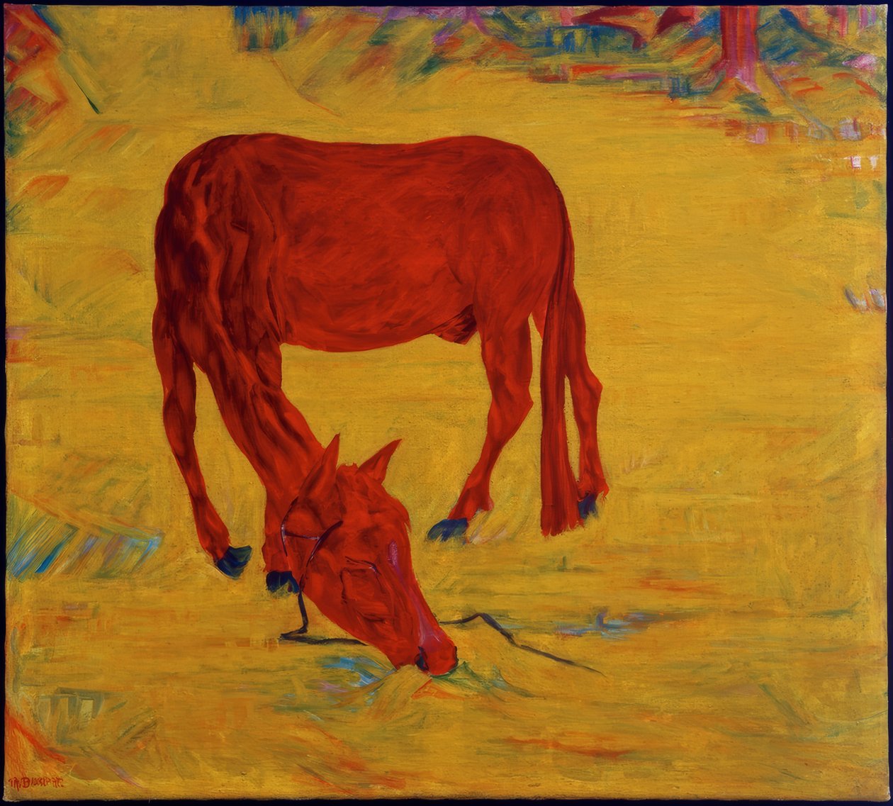 Pferd in Freiheit von Philipp Bauknecht