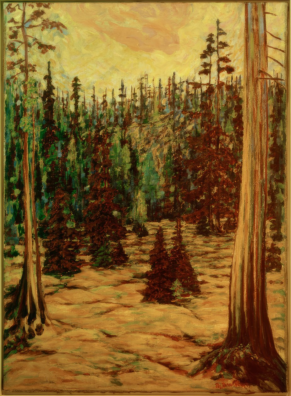 Sommerwald von Philipp Bauknecht
