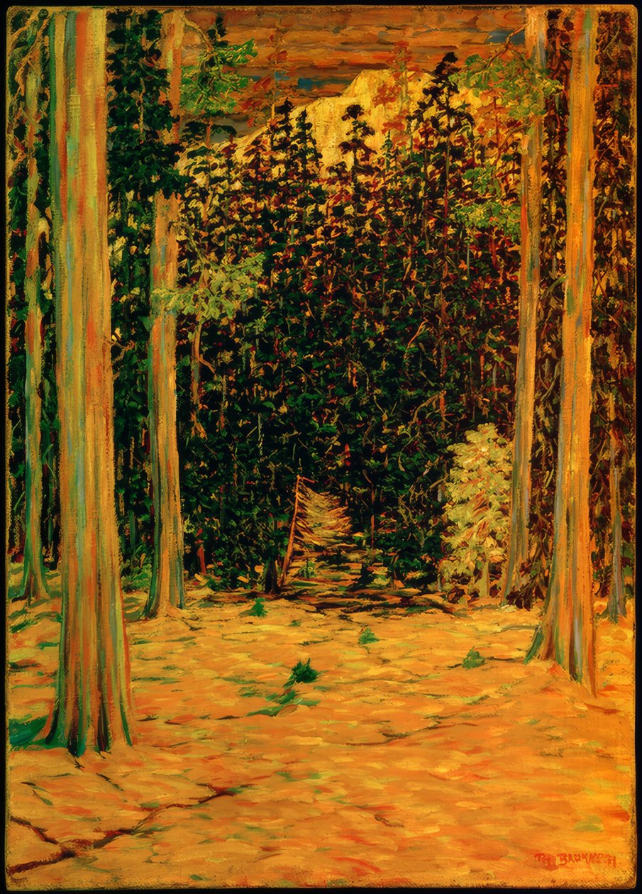 Vorfrühling von Philipp Bauknecht