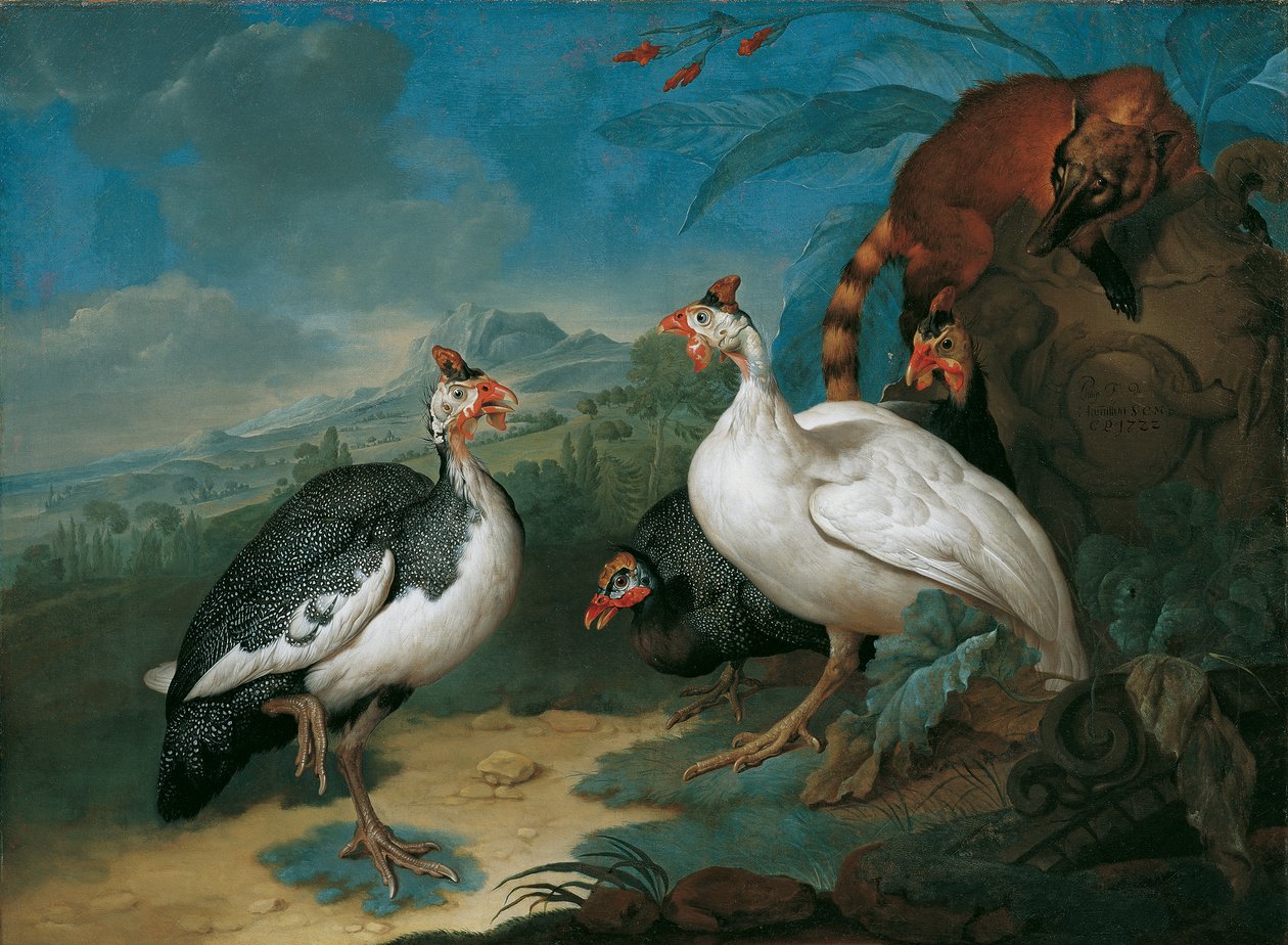 Perlhühner und Nasenbär von Philipp Ferdinand de Hamilton