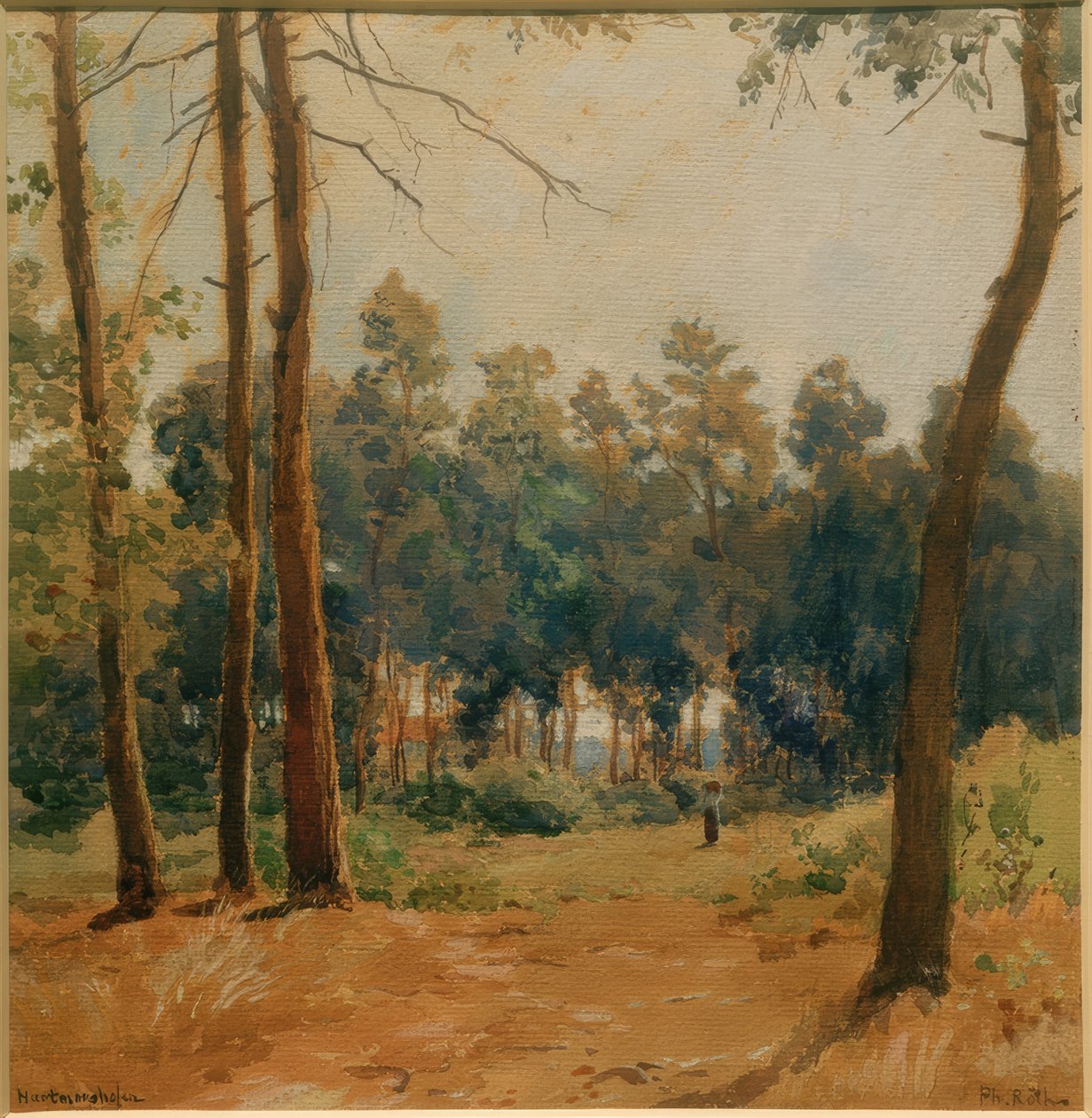 Waldlandschaft bei Hartmannshofen von Philipp Röth