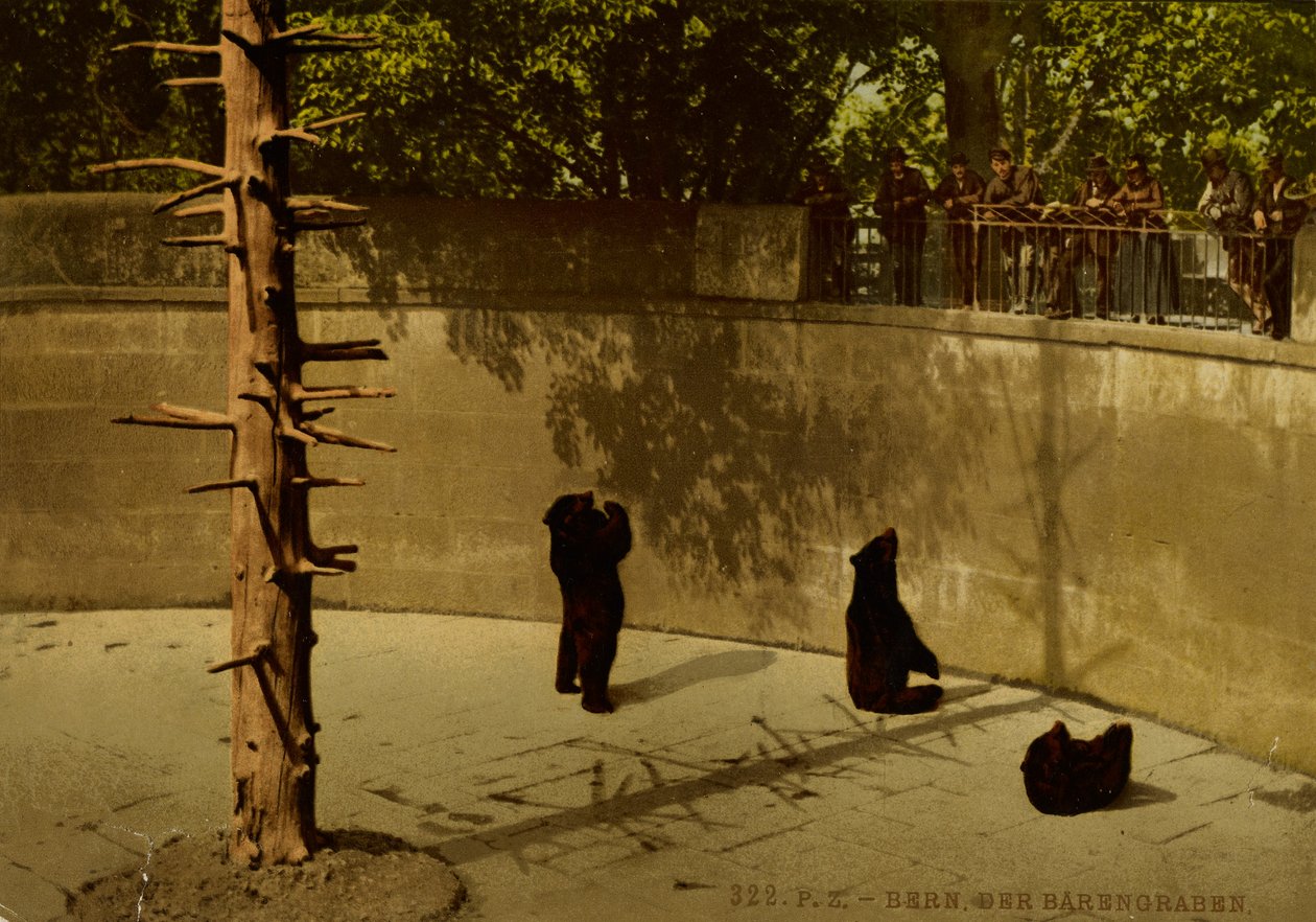 Bern. Der Bärengraben. von Photochrom Zürich