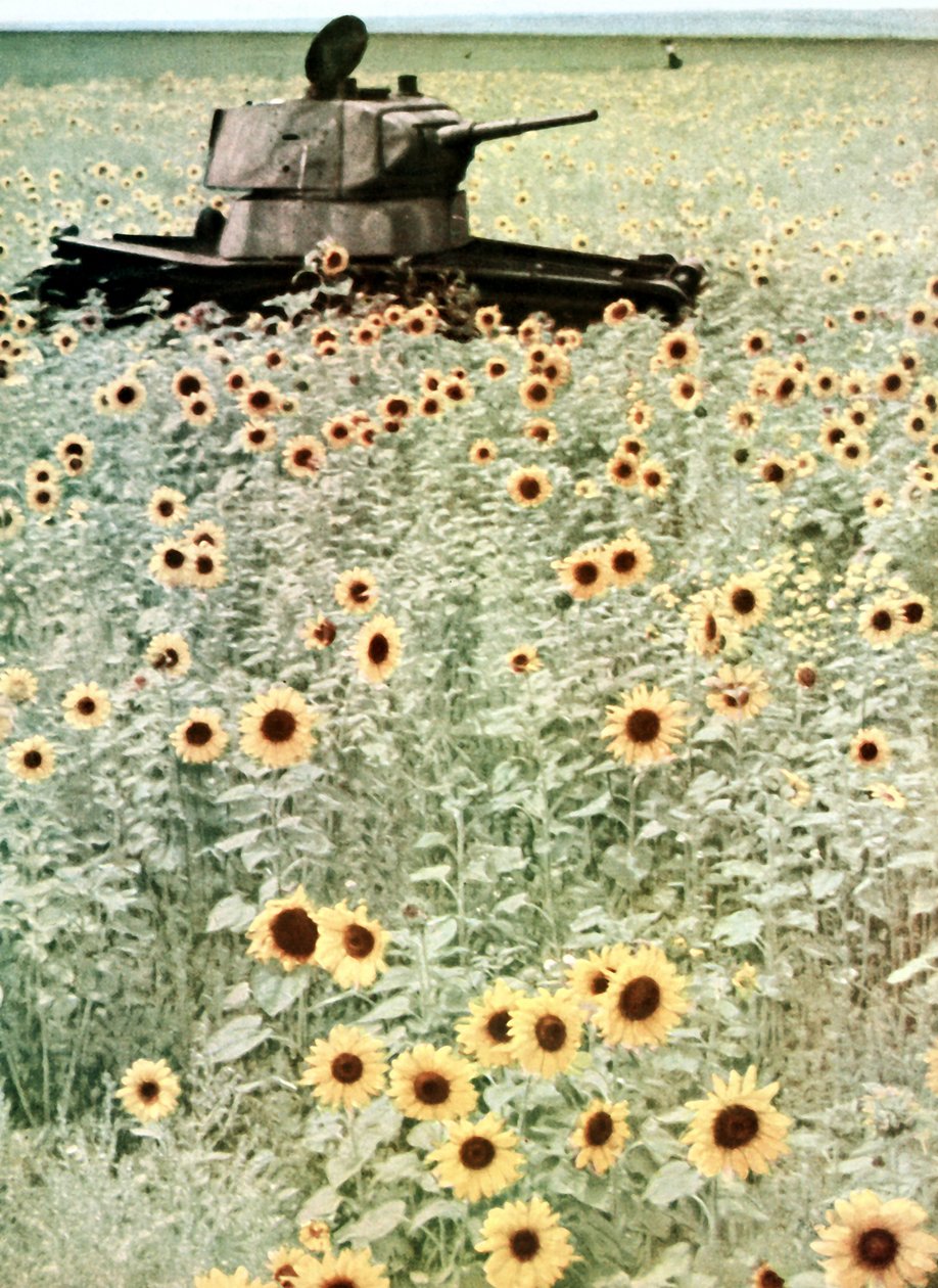 Unternehmen Barbarossa von Photographer German