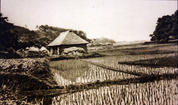 Reisfelder in Japan von Photographer Japanese