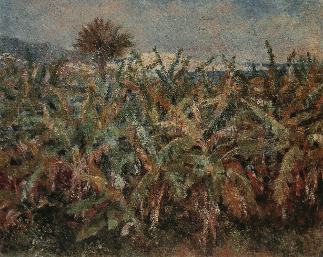 Bananenfeld von Pierre Auguste Renoir