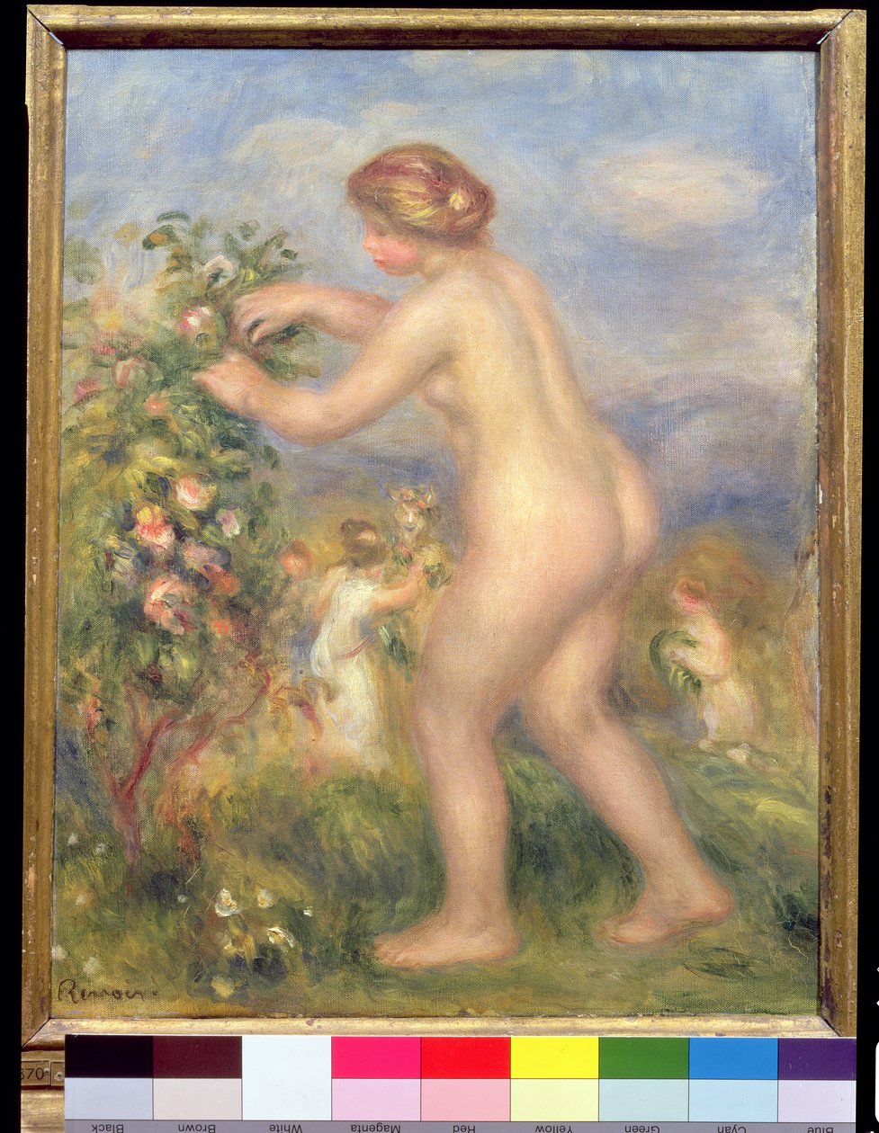 Weiblicher Akt, Blumen pflückend von Pierre Auguste Renoir