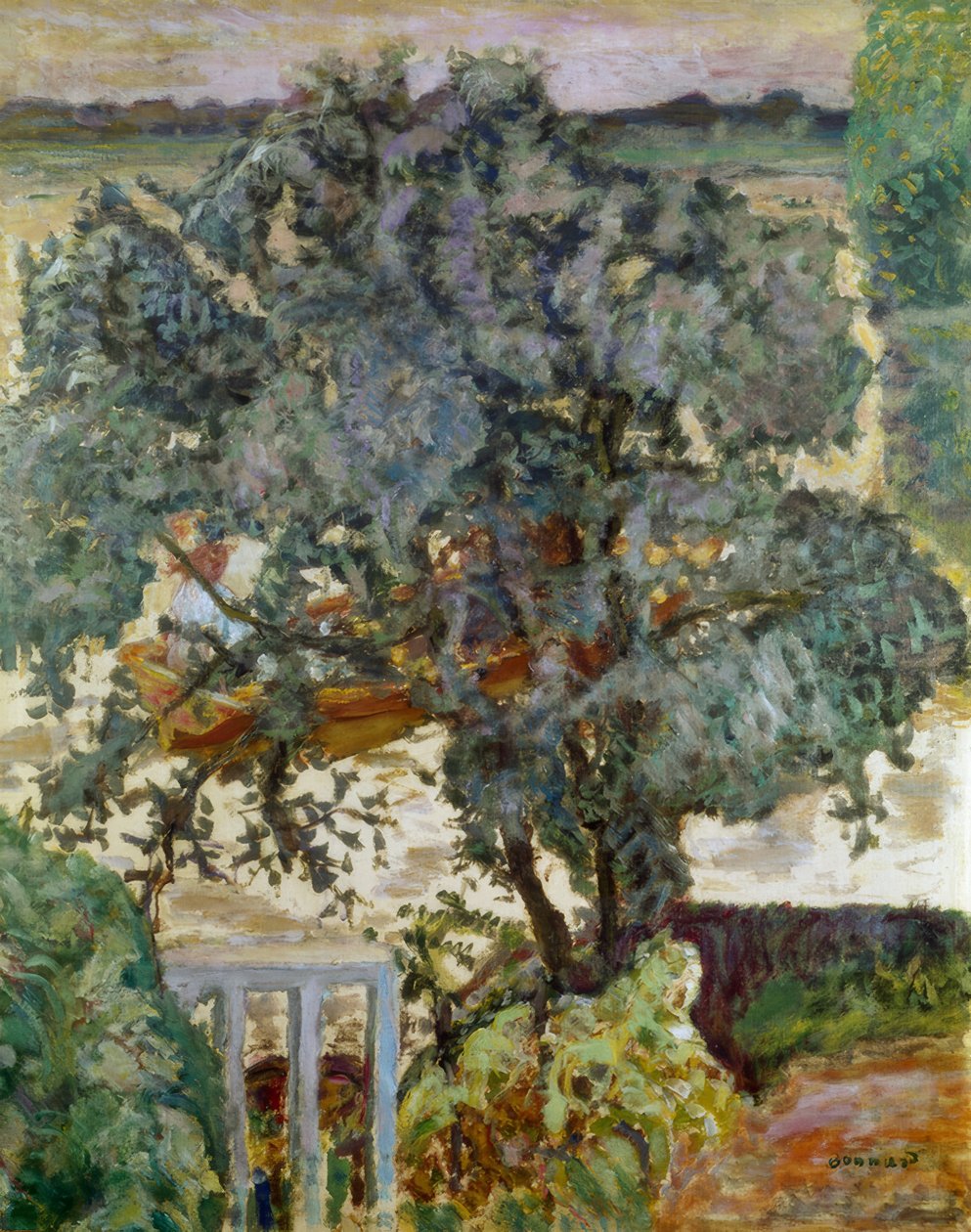 Der Baum am Flussufer von Pierre Bonnard