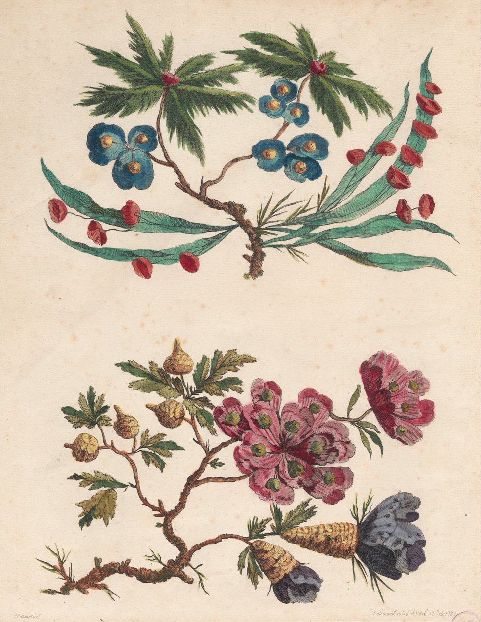 Zwei Sträuße imaginärer Blumen von Pierre Charles Canot
