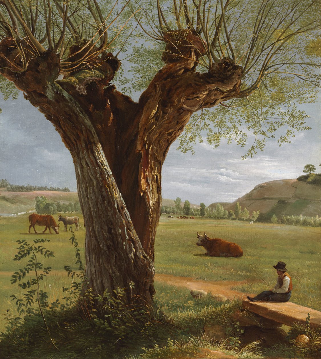 Kopfweide, nach 1804 von Pierre Jean Boquet