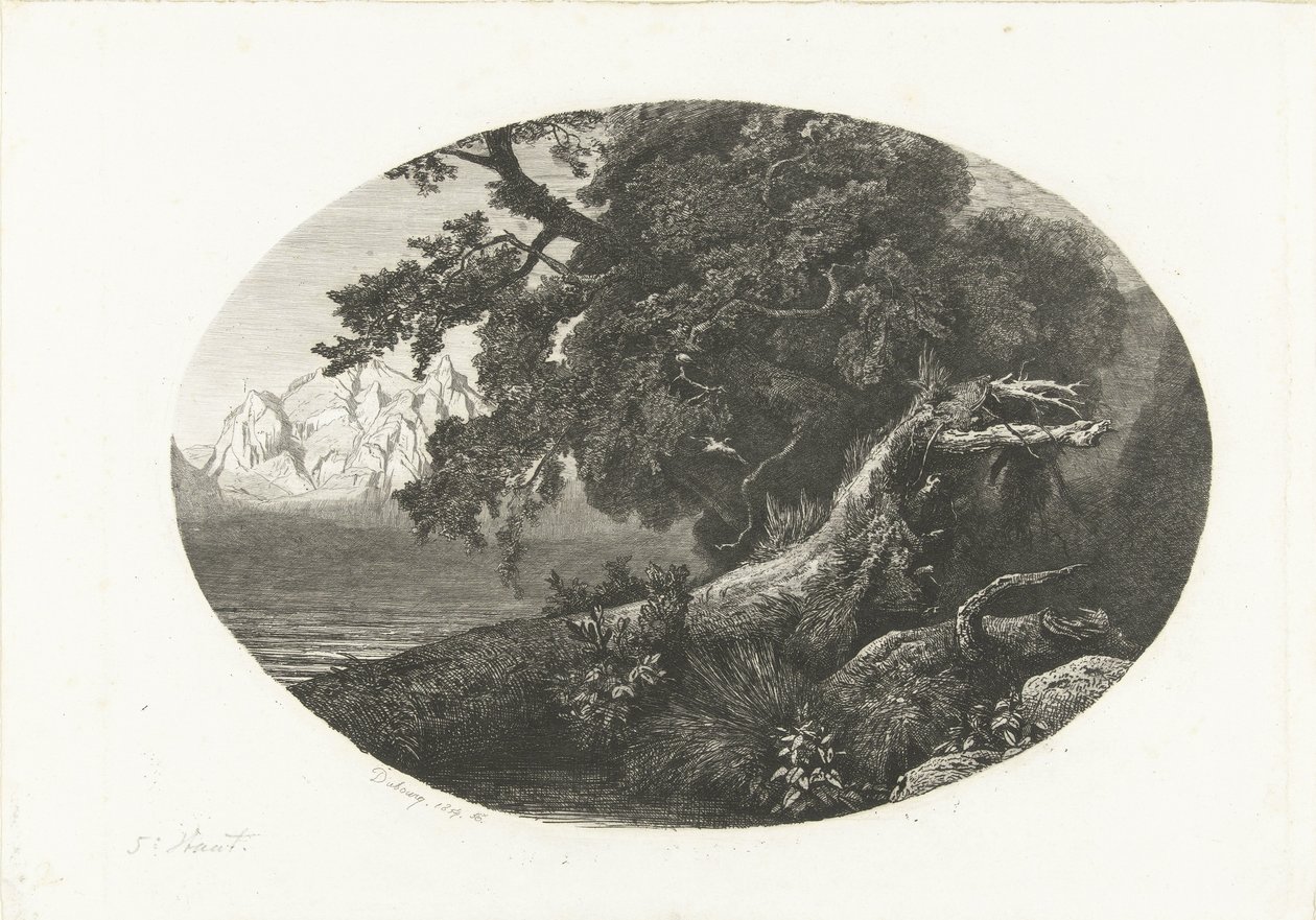 Entwurzelter Baumstamm an der Küste von Pierre Louis Dubourcq
