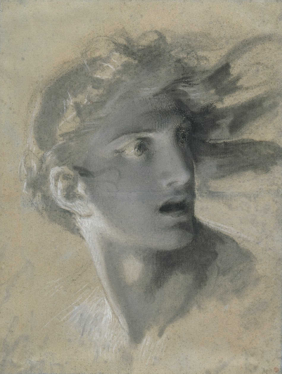 Kopf der Rache von Pierre Paul Prud