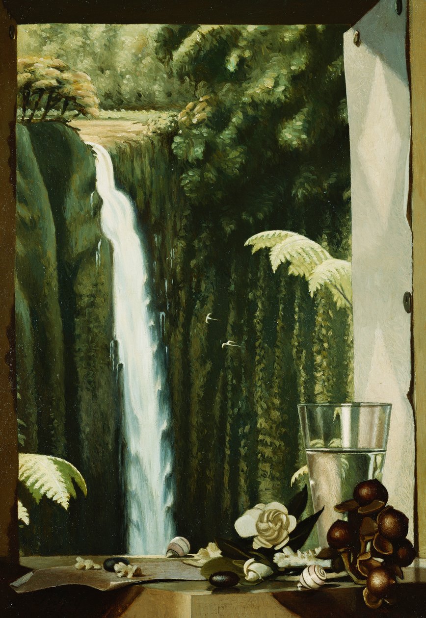 Akaka-Wasserfall, Hawaii von Pierre Roy