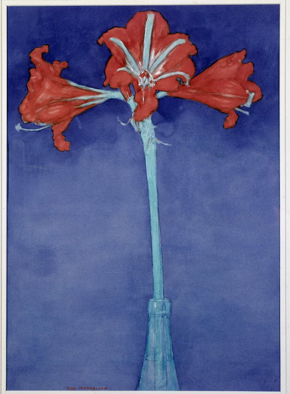 Amaryllis von Piet Mondrian