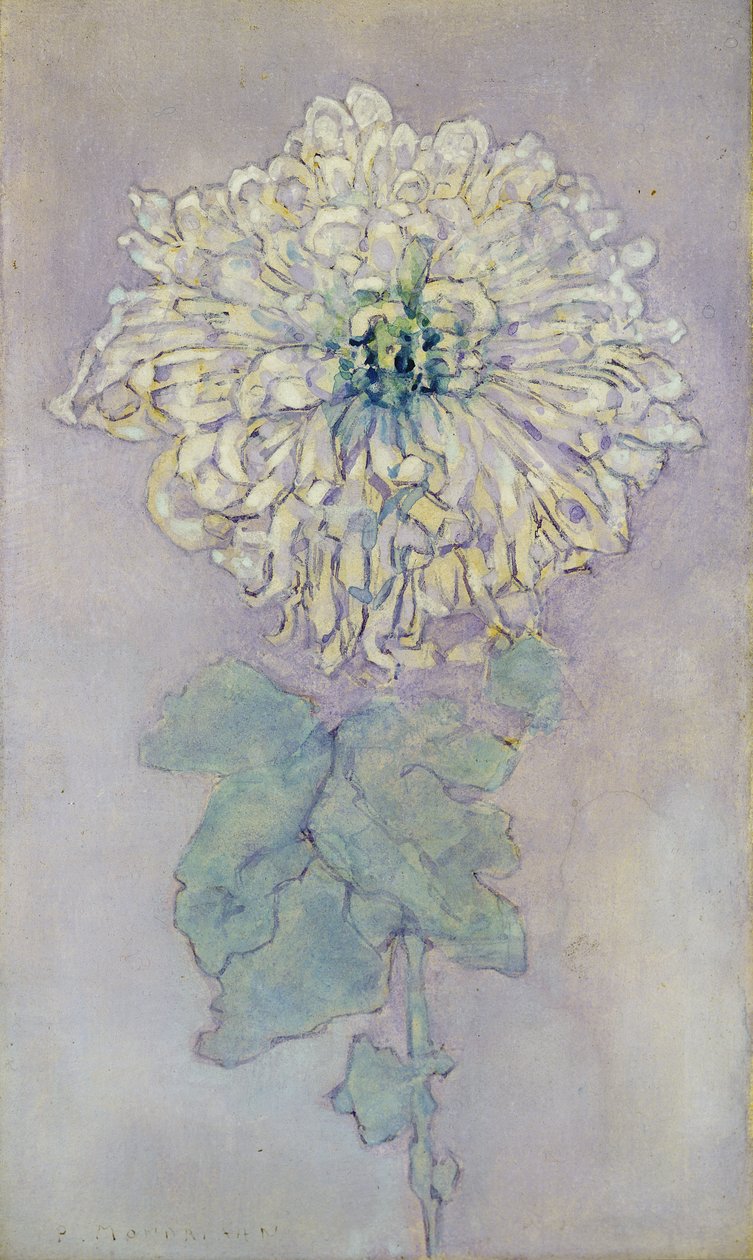 Chrysantheme von Piet Mondrian