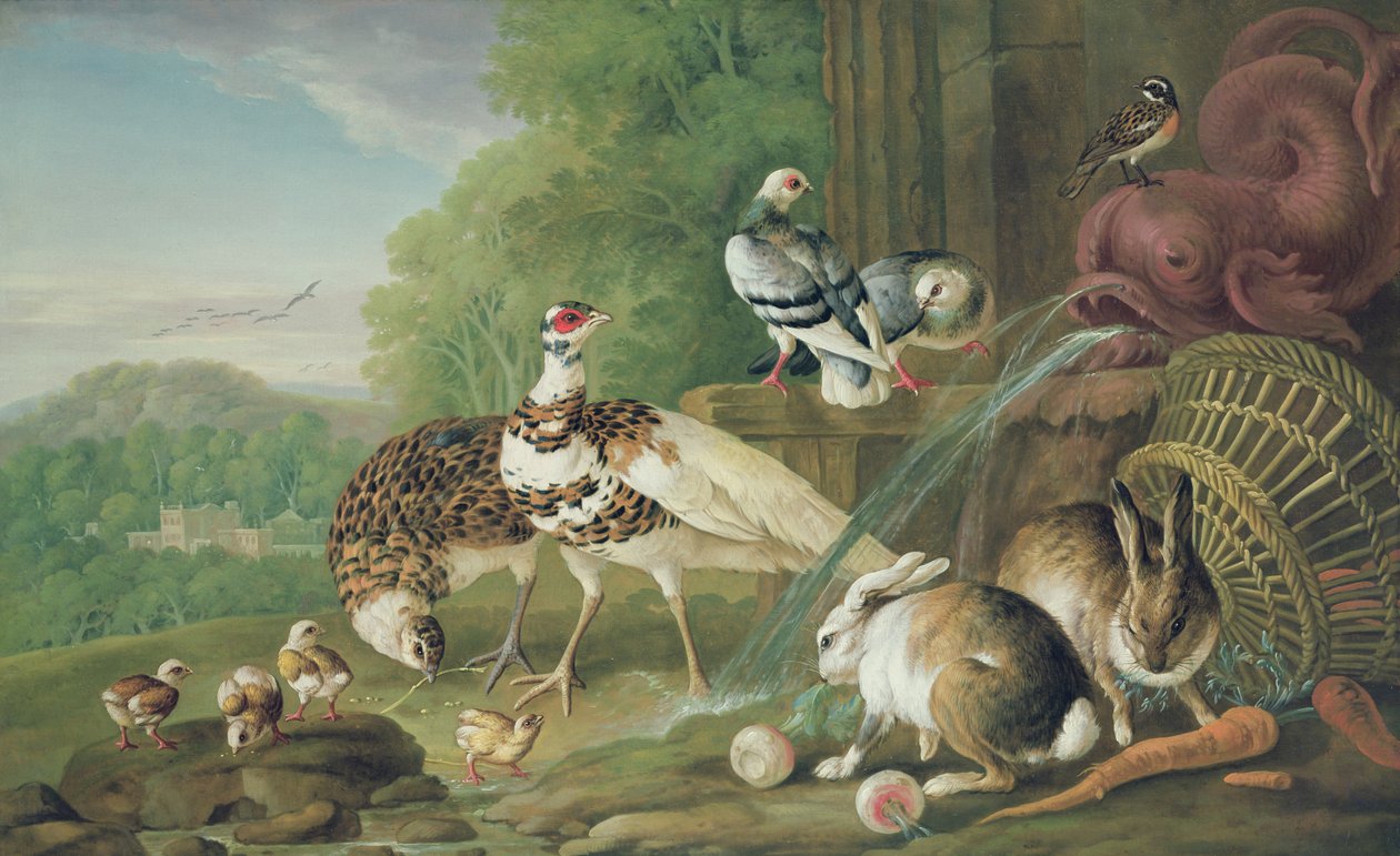 Vögel und Kaninchen von Pieter Casteels