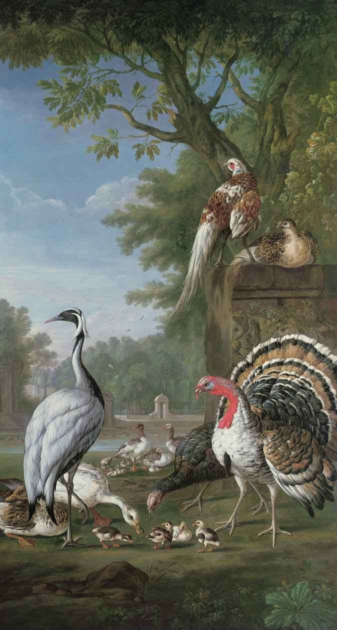 Gruppe exotischer Vögel von Pieter Casteels