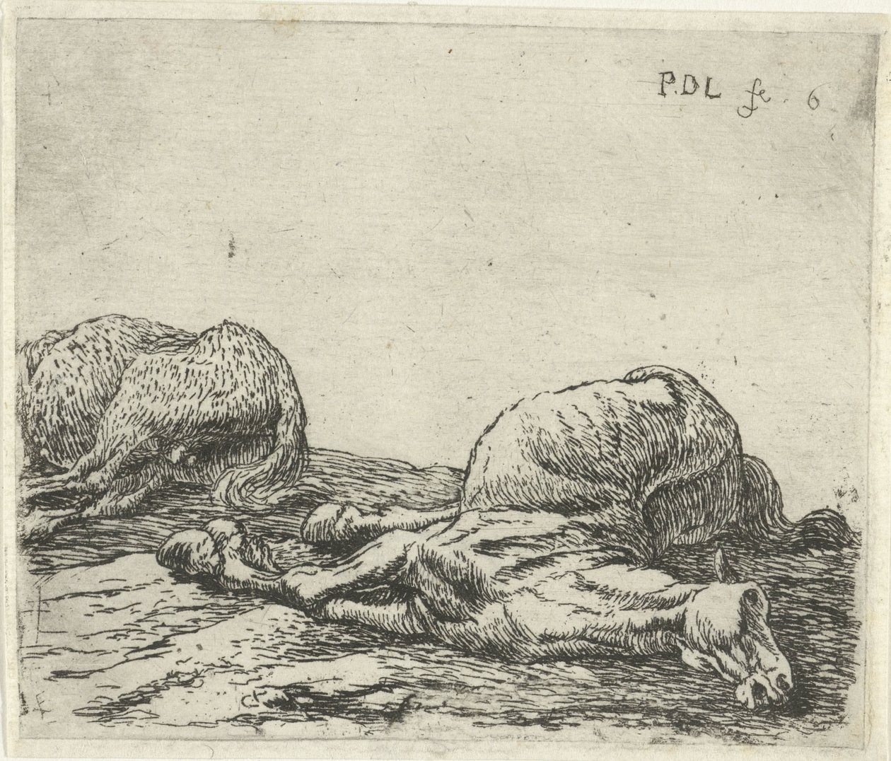 Zwei tote Pferde von Pieter Bodding van Laer