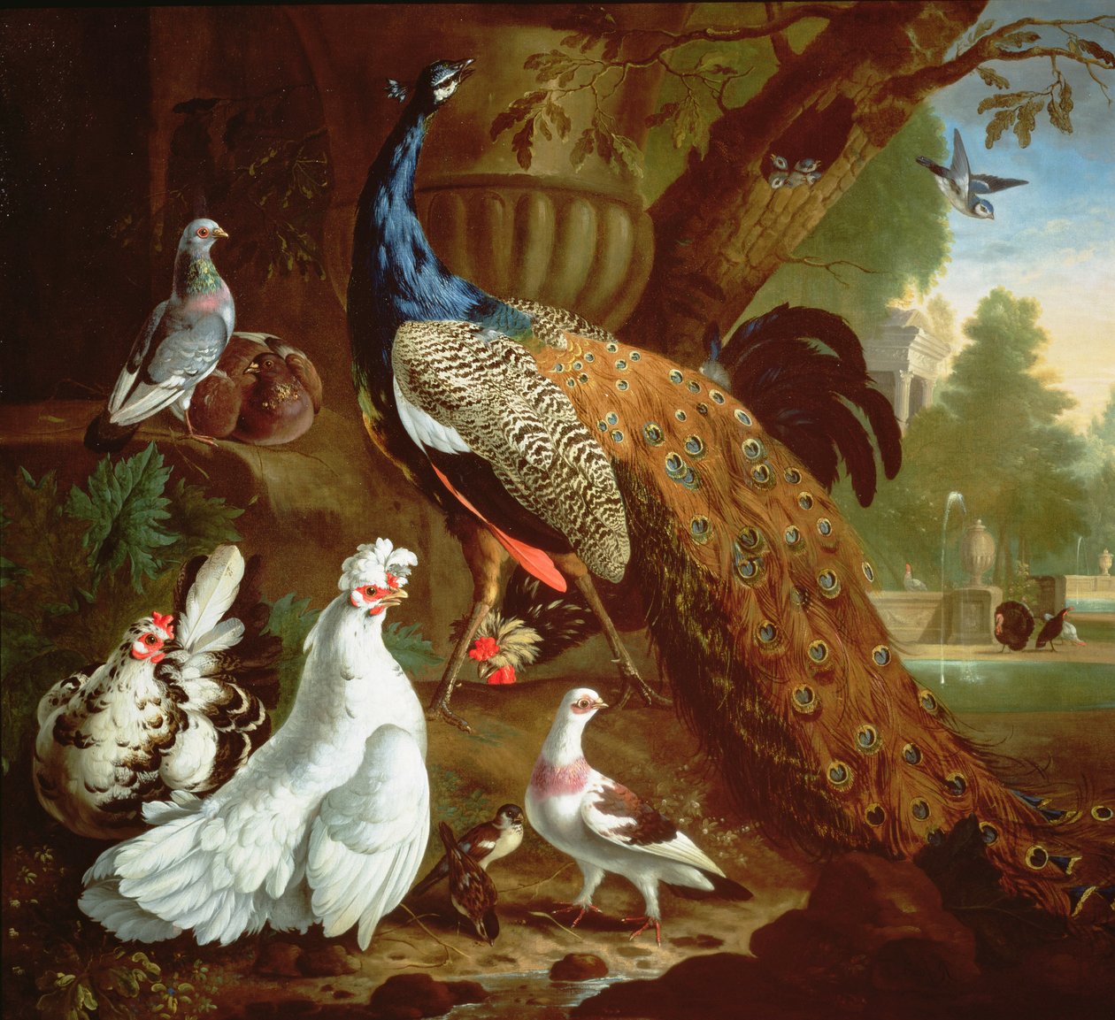 Ein Pfau in einer klassischen Landschaft, 1719 von Pieter Casteels