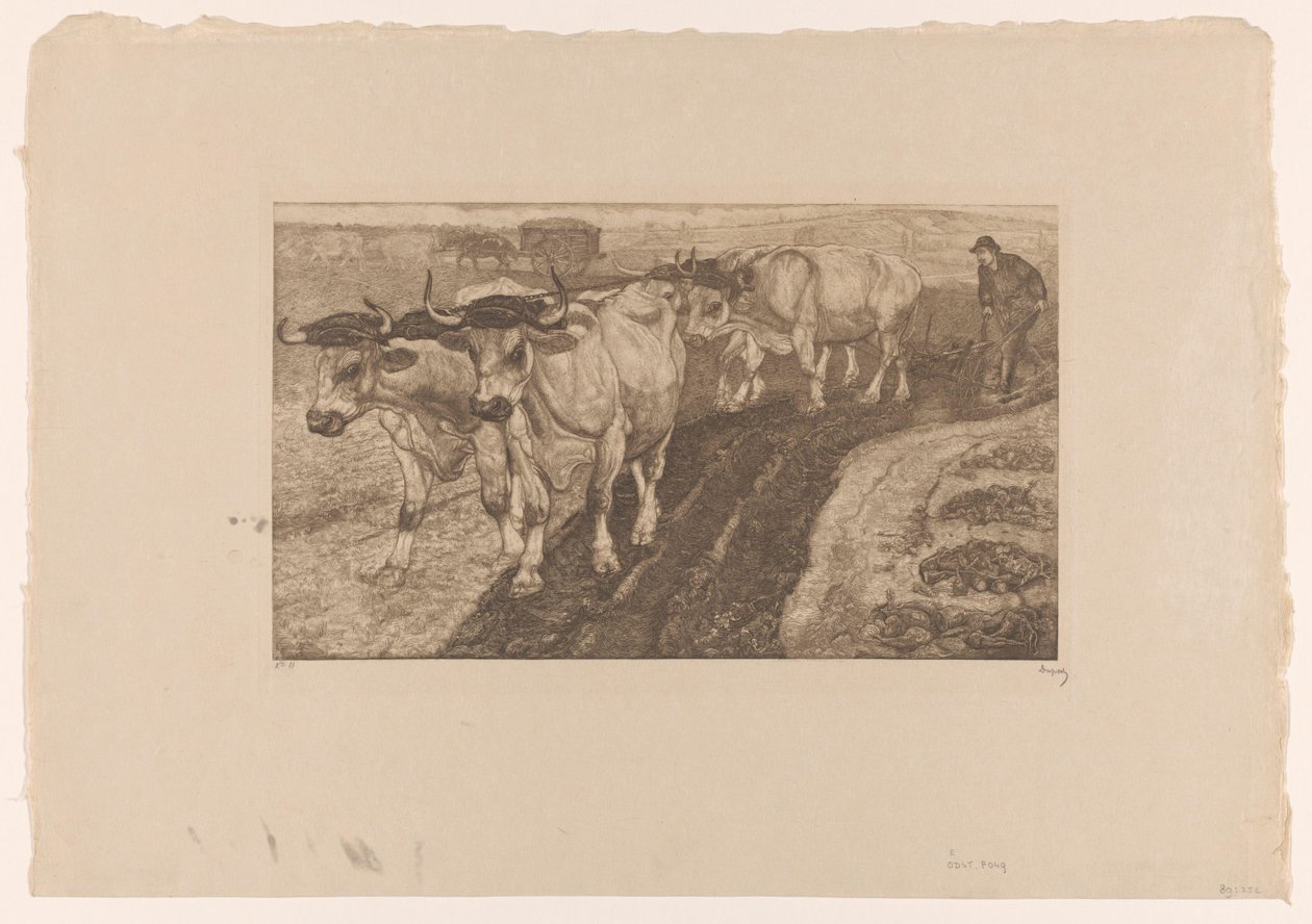 Vier pflügende Ochsen von Pieter Dupont (signed by artist)