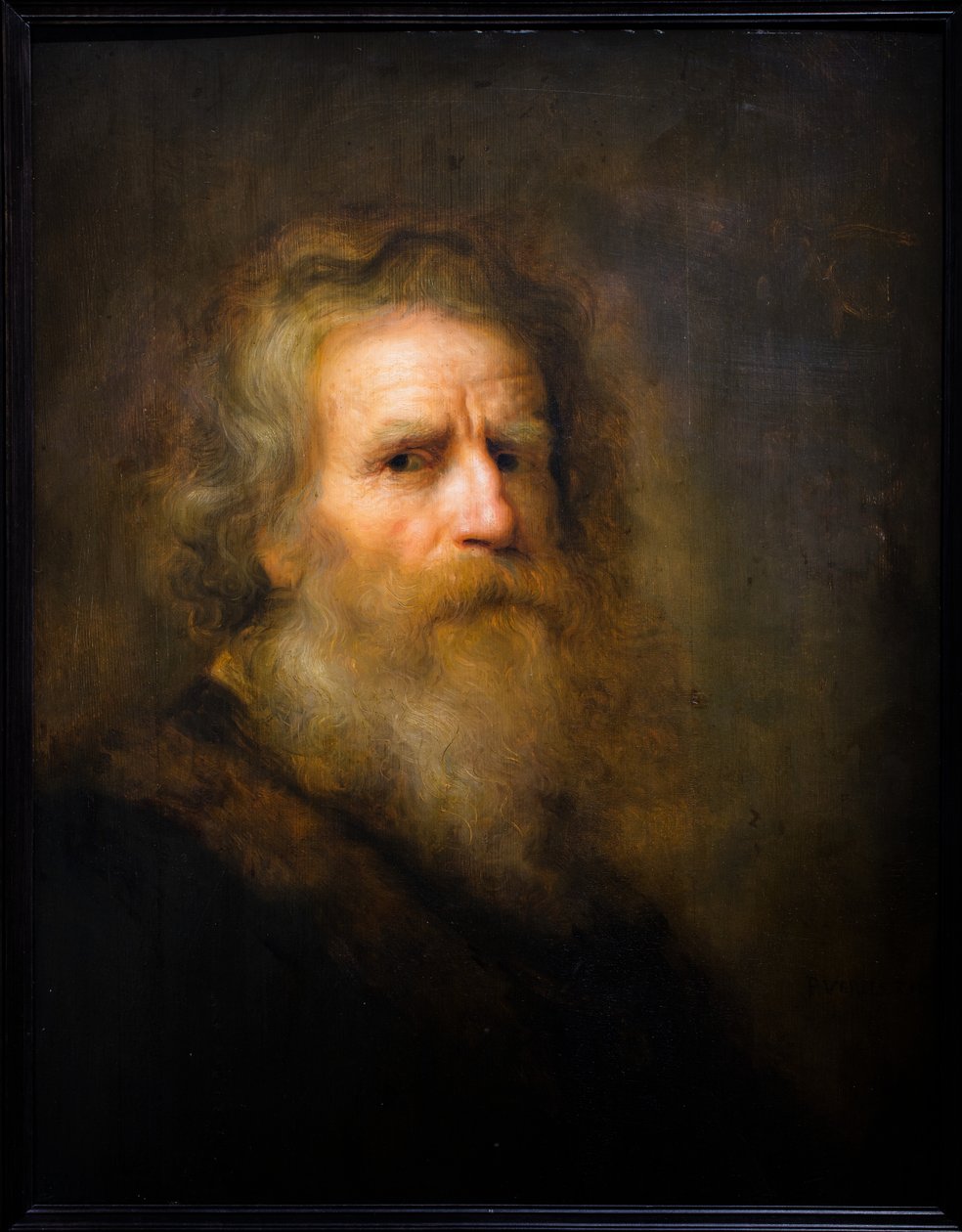 Kopf eines alten Mannes von Pieter Harmansz Verelst