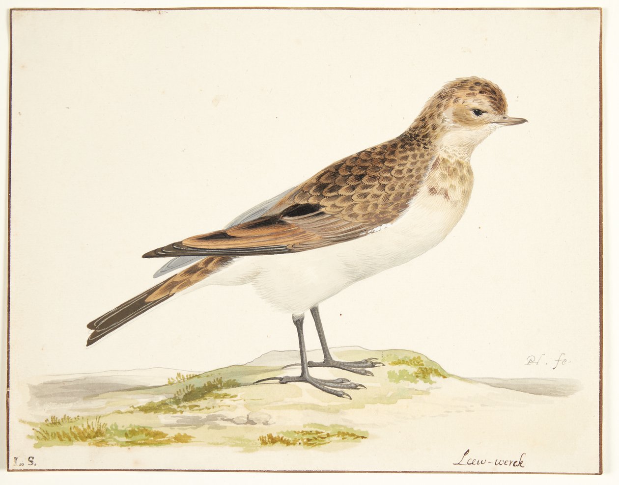 Eine Feldlerche (Alauda arvensis) von Pieter Holsteijn