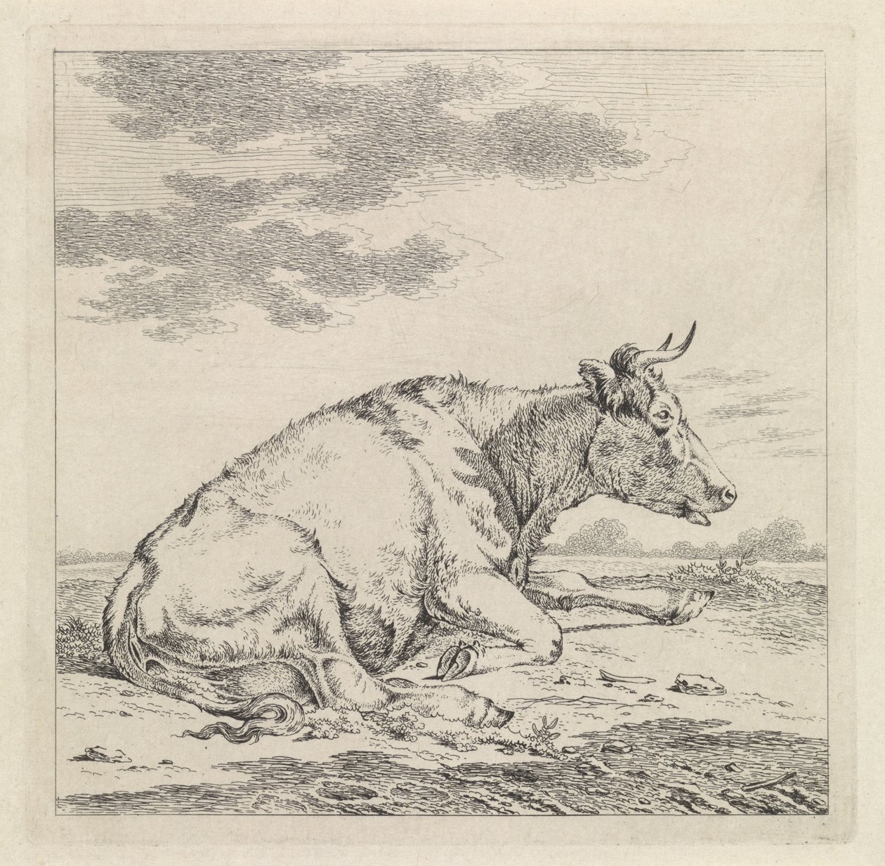 Liegende Kuh nach rechts von Pieter Janson