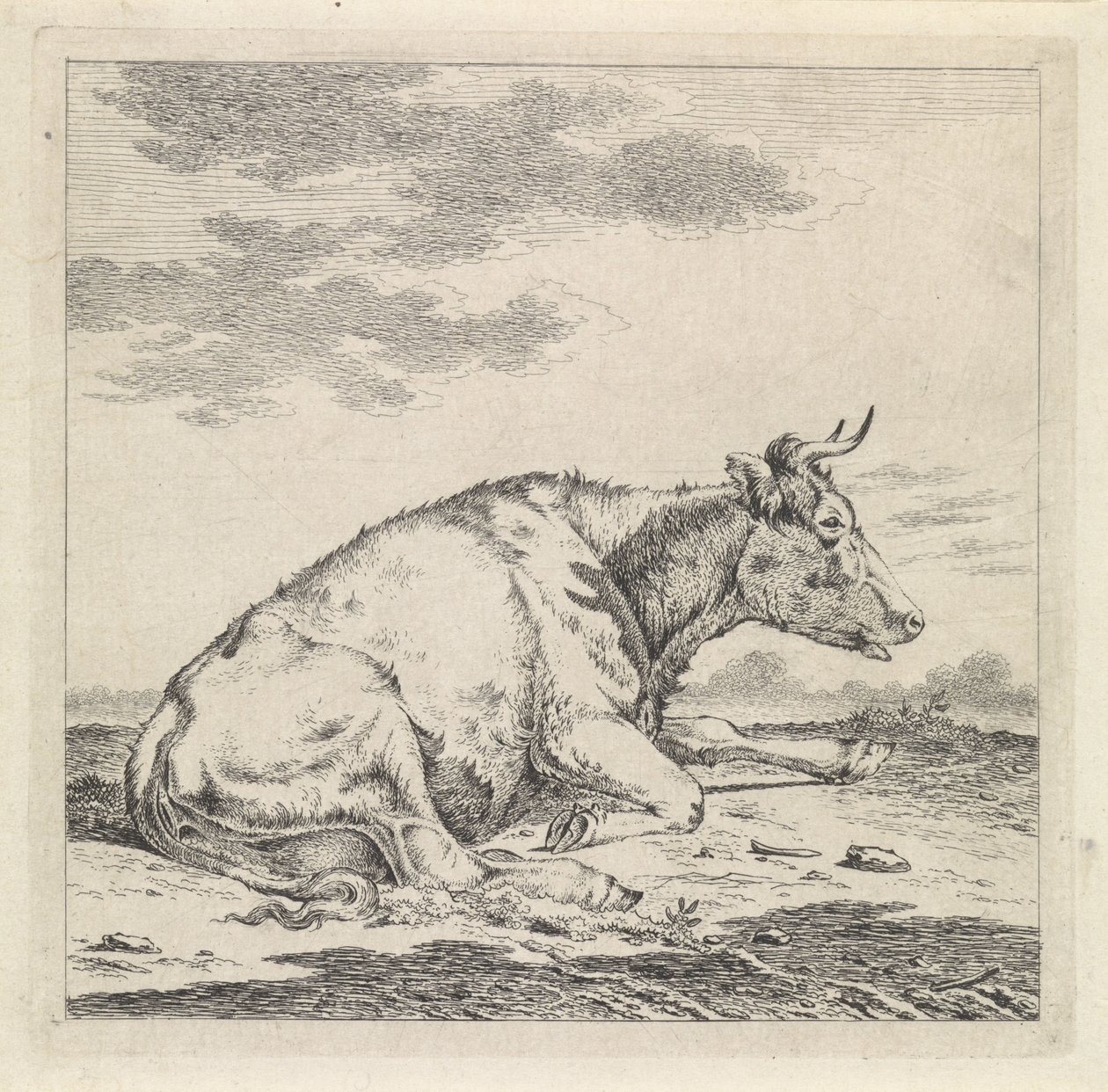 Liegende Kuh, nach rechts von Pieter Janson