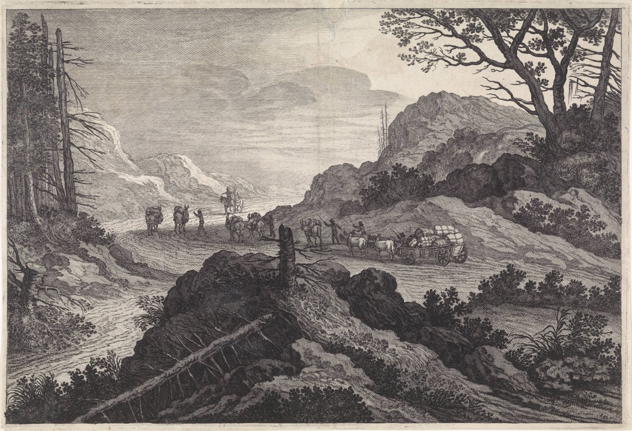 Packesel auf einem Weg von Pieter Nolpe