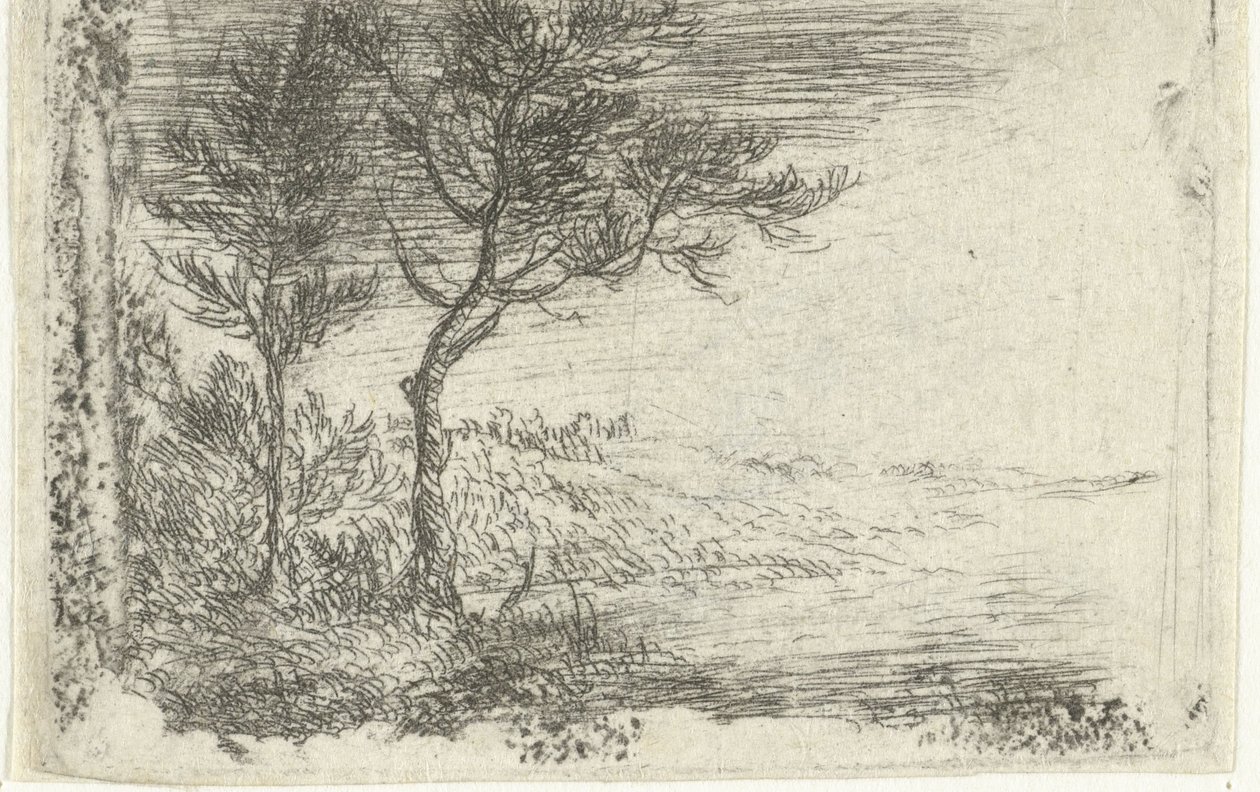 Landschaft mit zwei Bäumen von Pieter van Laer