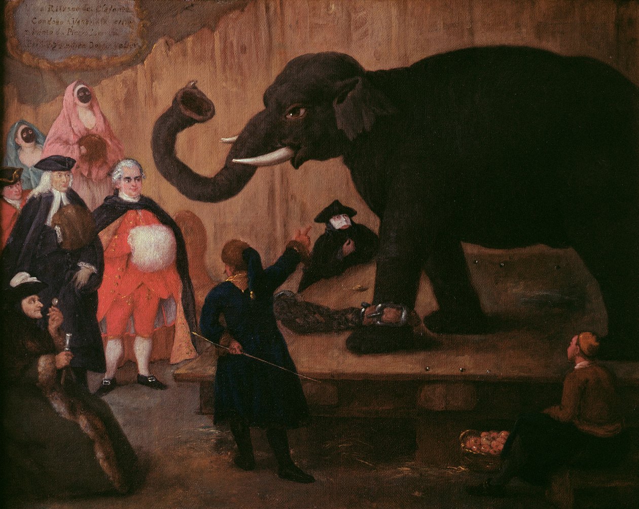 Ein Elefant in Venedig gezeigt von Pietro Longhi