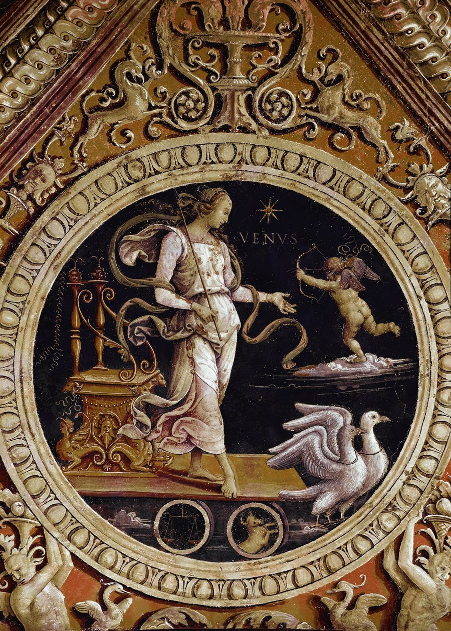 Allegorische Darstellung der Venus (Fresko) von Pietro Perugino