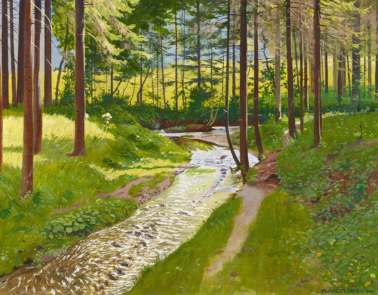 Sommerlicher Wald mit Bachlauf von Plinio Colombi