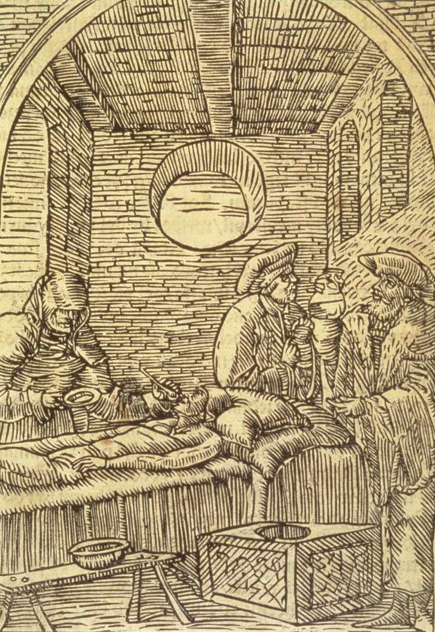 Verabreichung von Heilkräutern, 1534 von Polish School