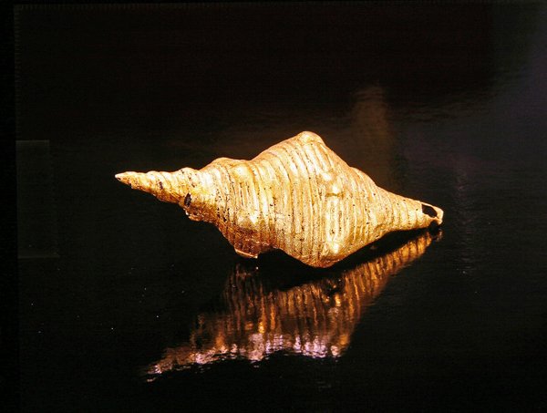 Muisca Muschel von Pre Columbian Pre Columbian