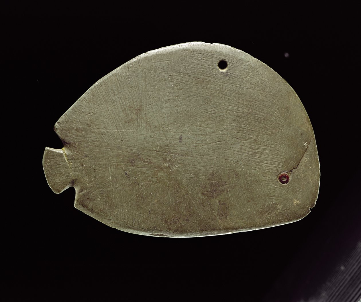 Fischpalette, ca. 3200 v. Chr. von Predynastic Period Egyptian