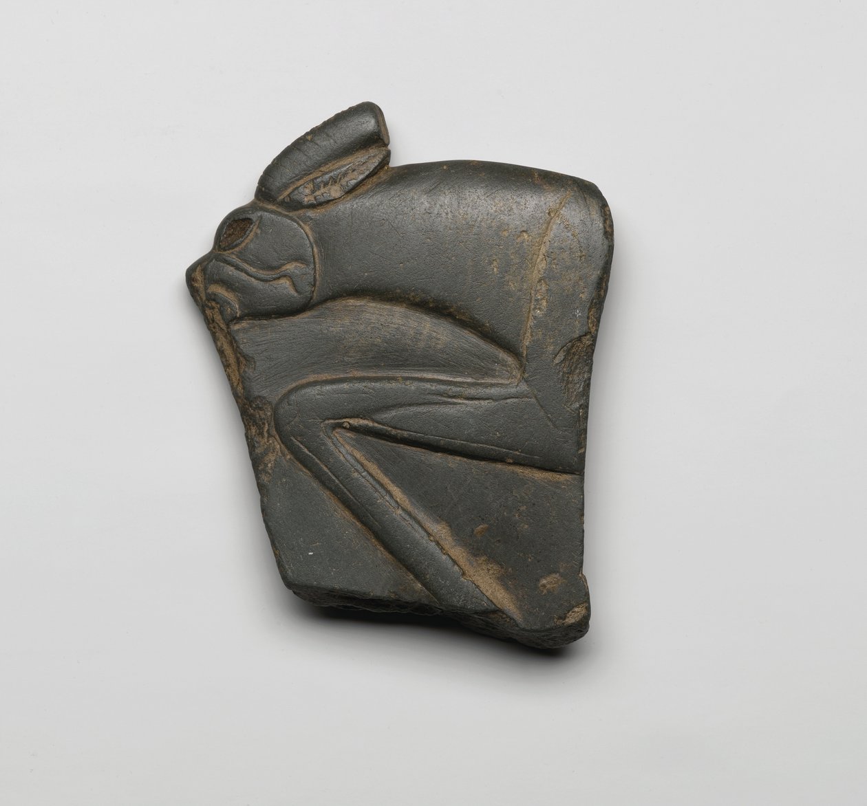 Fragment von einer Palette, Oberägypten, ca. 3300-3100 v. Chr. von Predynastic Period Egyptian