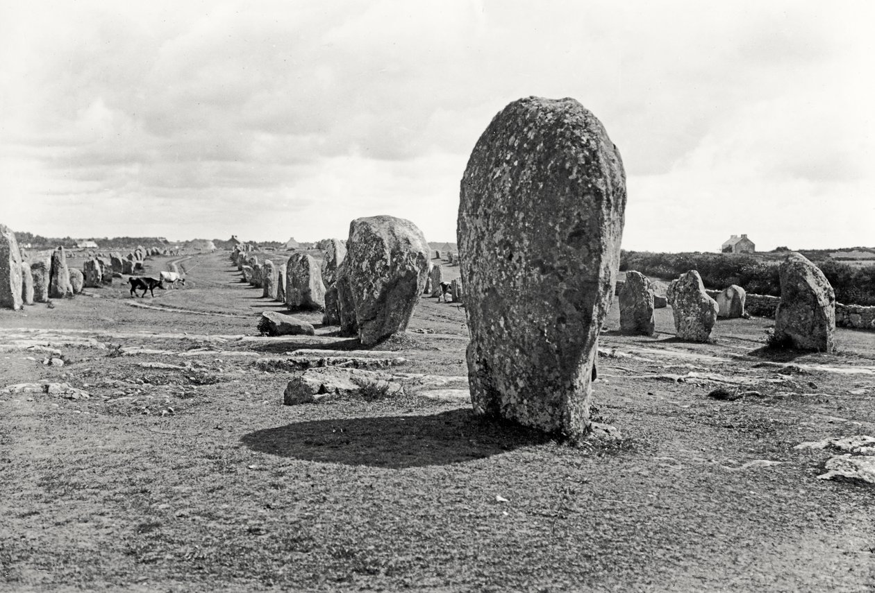 Ausrichtung von stehenden Steinen, Megalithisch, 4.-3. Jahrtausend v. Chr. von Prehistoric