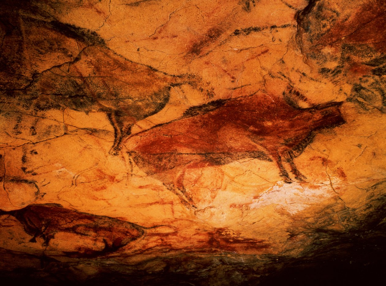 Bison aus den Höhlen von Altamira, ca. 15000 v. Chr. (Höhlenmalerei) von Prehistoric
