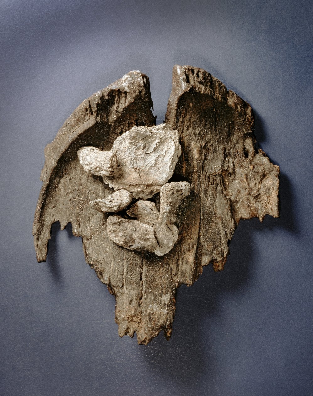 Fragment einer prähistorischen Schale mit Überresten eines Fleischstücks, Grab G73, Jericho von Prehistoric