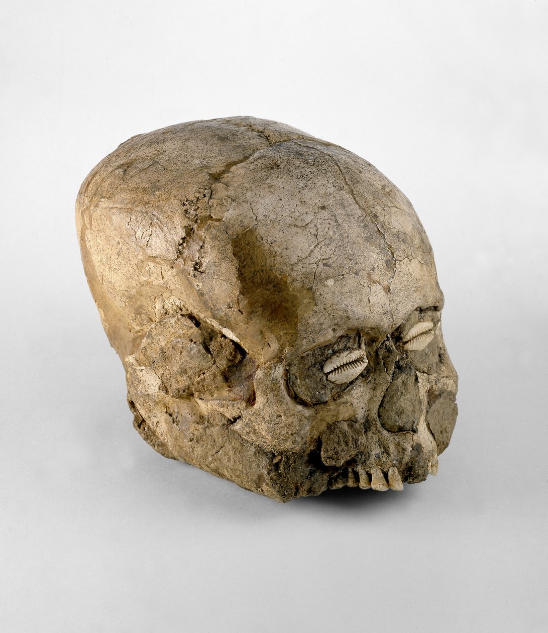 Porträtschädel mit Kaurimuschelaugen, Jericho, ca. 7. Jahrtausend v. Chr. von Prehistoric