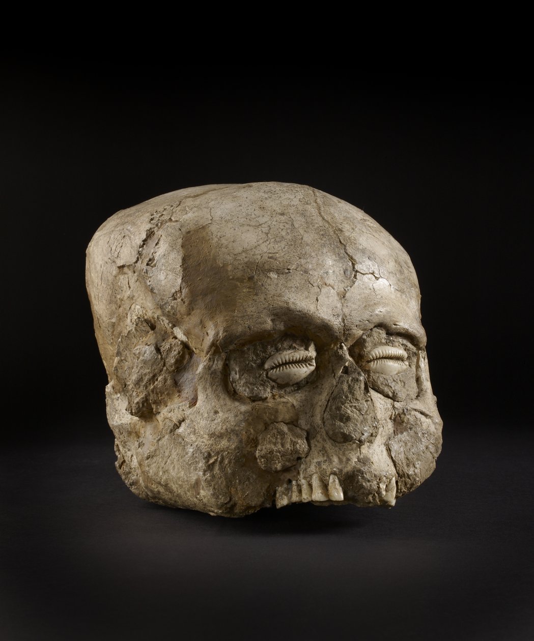 Porträtschädel mit Kaurimuschelaugen, Jericho, ca. 7. Jahrtausend v. Chr. von Prehistoric