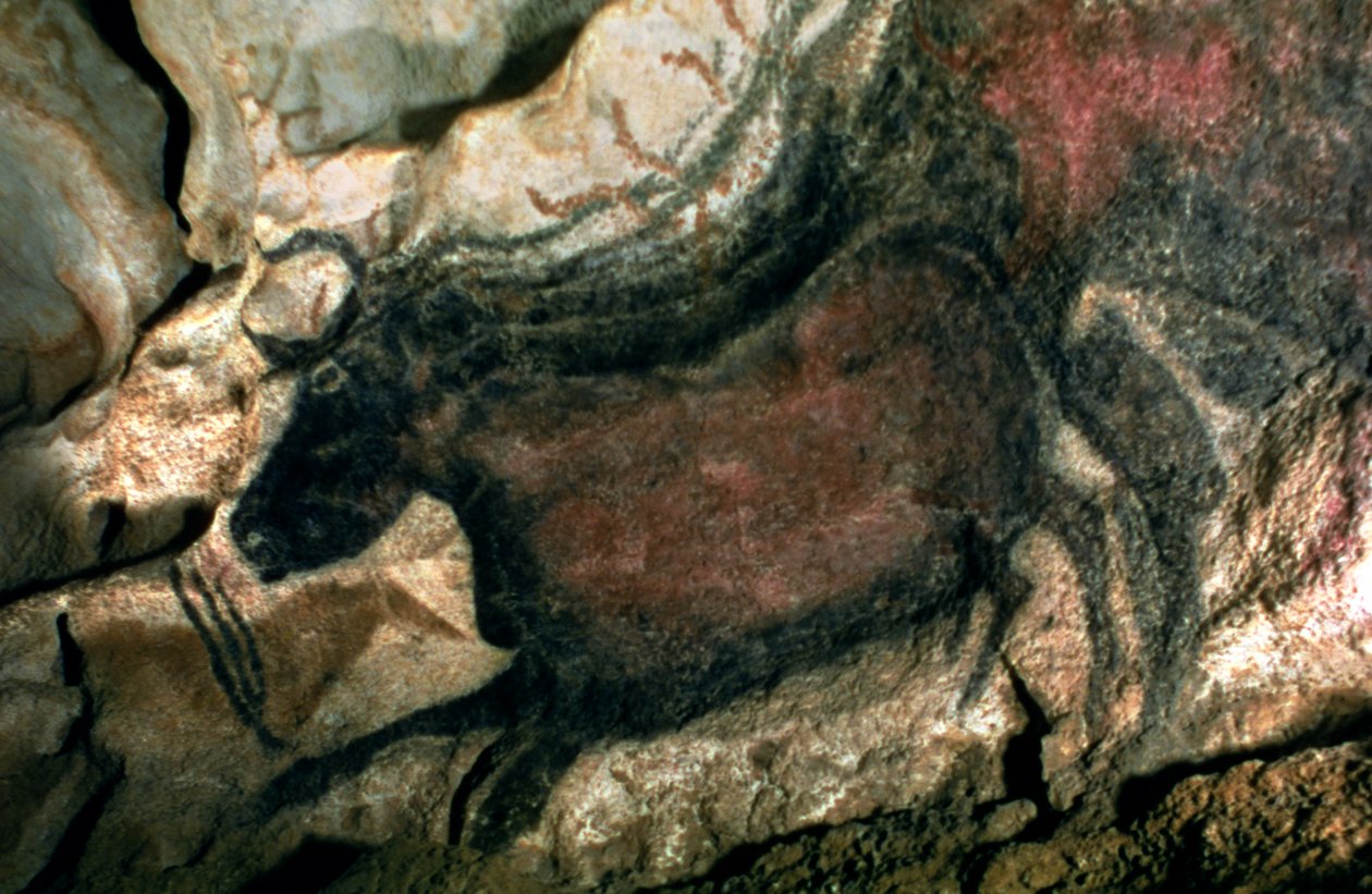 Felsmalerei eines schwarzen Stiers, um 17000 v. Chr. von Prehistoric