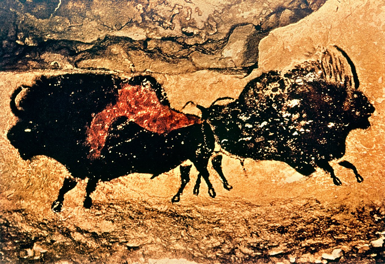 Felsmalerei eines Bisons, ca. 17000 v. Chr. von Prehistoric
