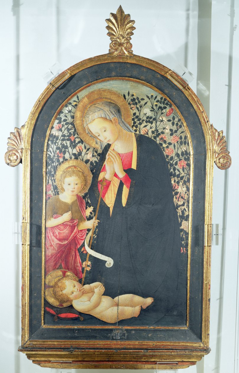 Anbetung des Kindes mit dem jungen Johannes dem Täufer von Pier Francesco Fiorentino
