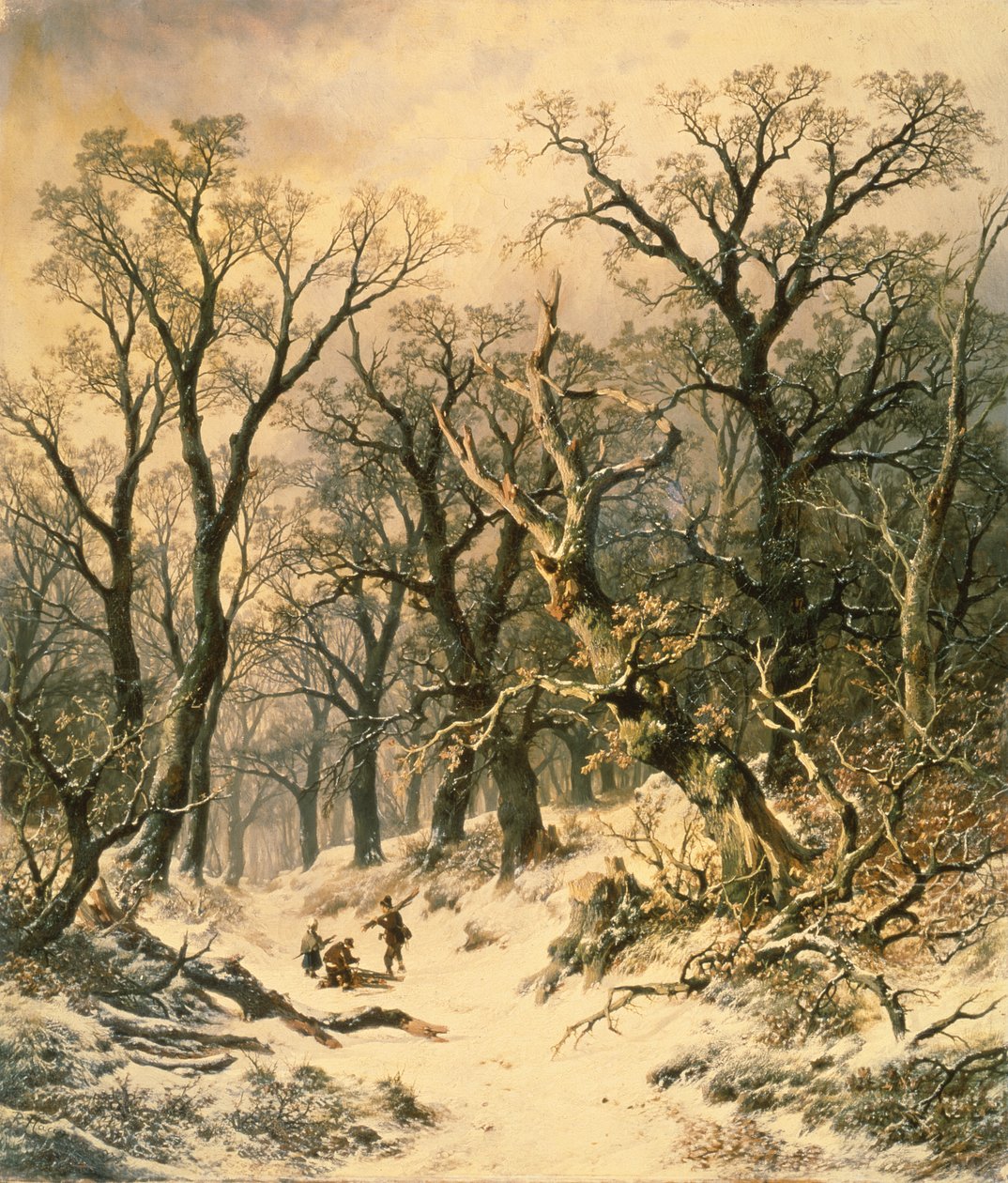Der Wald von R. Van Hannen